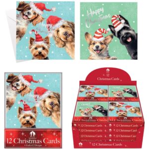 12 XMAS Cards, Acetate Cheeky Dogs (24pk)