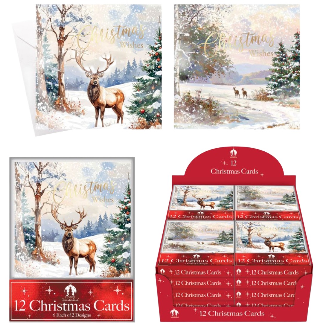 12 XMAS Cards, Acetate - Deer Scene (24pk)