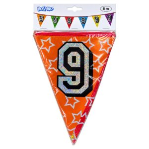 Boland 8m Holographic 9th Birthday Party Bunting Banner Multicolour (12pk)
